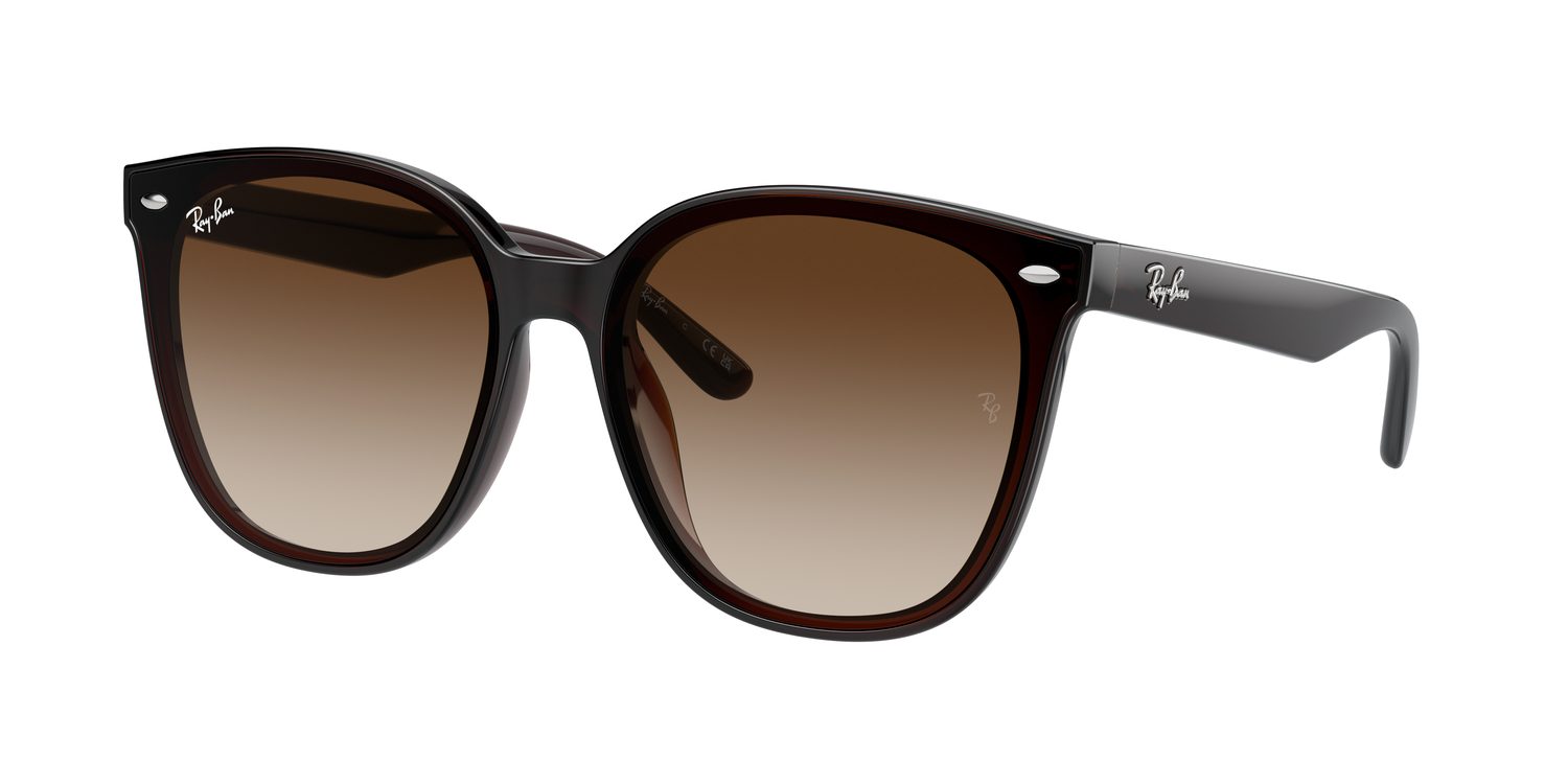 Ray-Ban | 0RB4423D