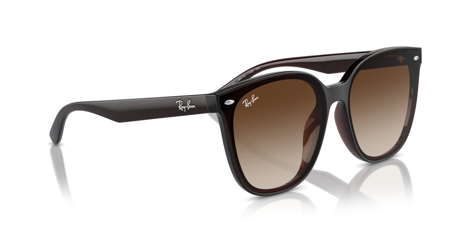Ray-Ban | 0RB4423D