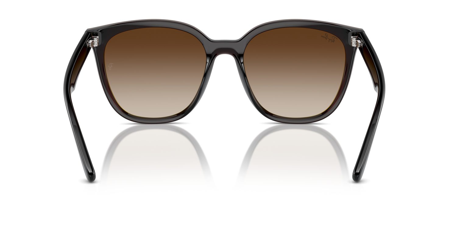Ray-Ban | 0RB4423D