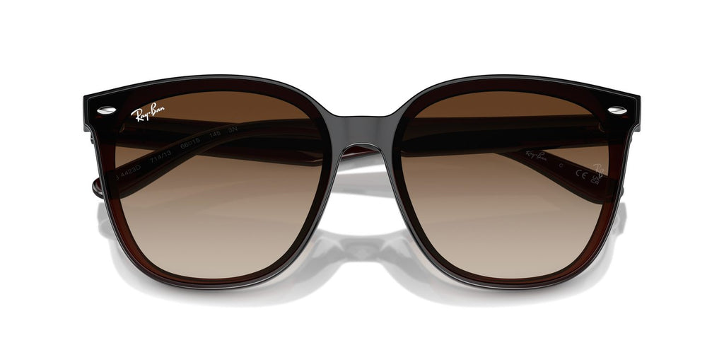 Ray-Ban | 0RB4423D