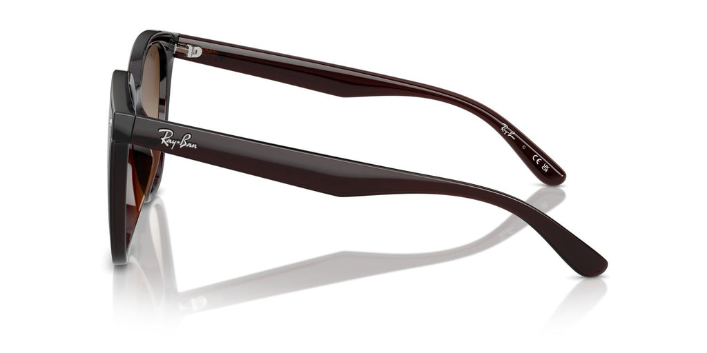 Ray-Ban | 0RB4423D