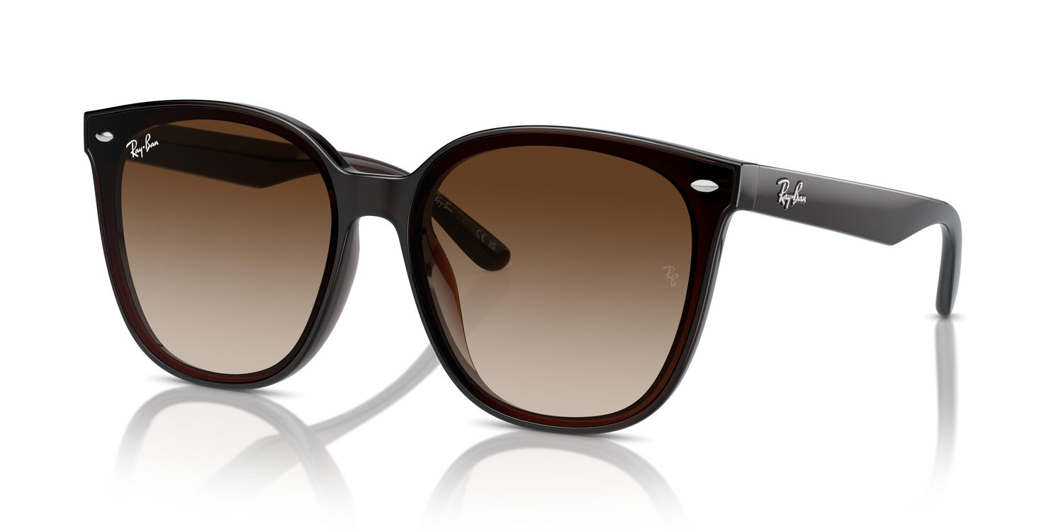 Ray-Ban | 0RB4423D