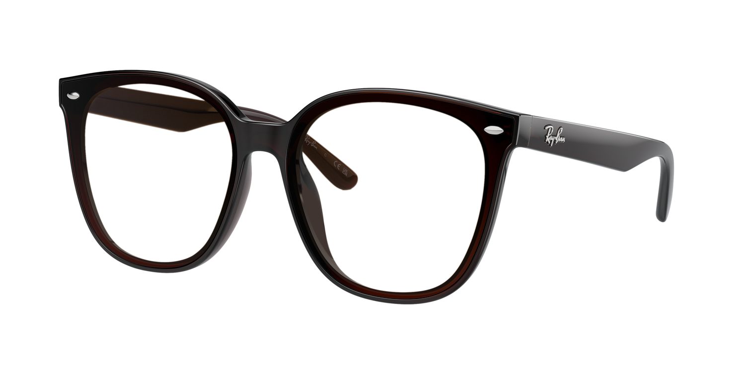 Ray-Ban | 0RB4423D