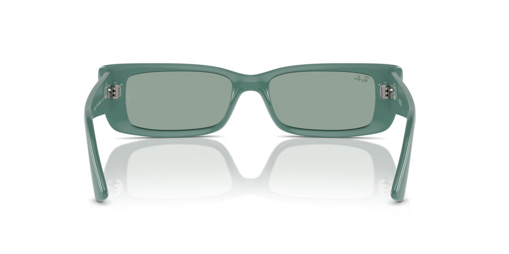 Ray-Ban | 0RB4425