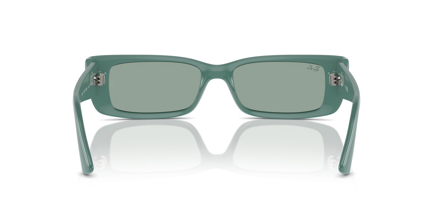 Ray-Ban | 0RB4425