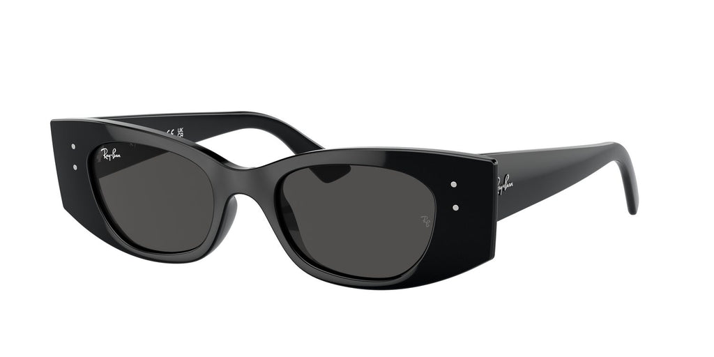 Ray-Ban | 0RB4427