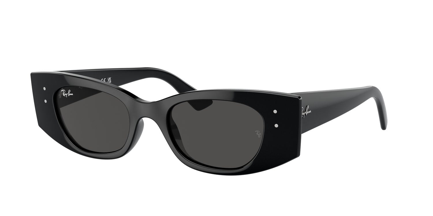 Ray-Ban | 0RB4427