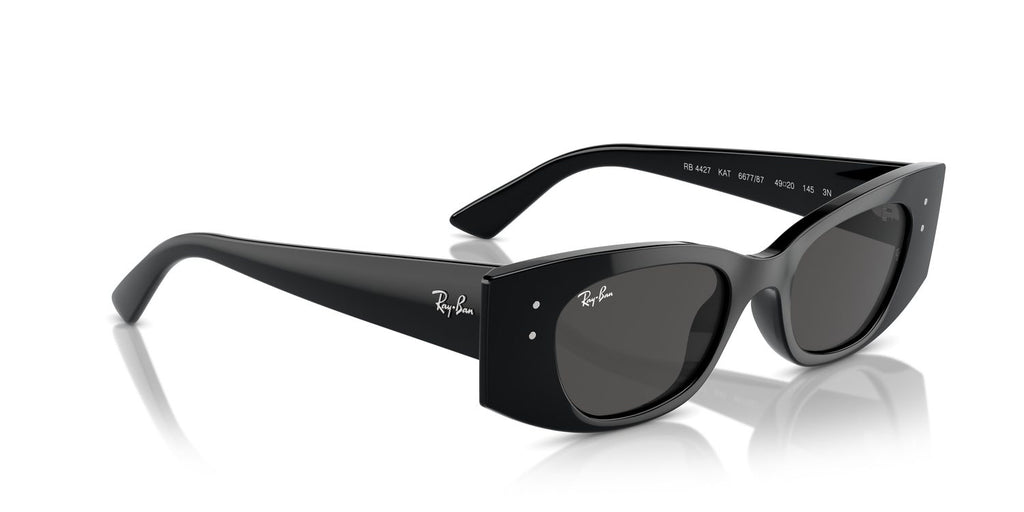 Ray-Ban | 0RB4427