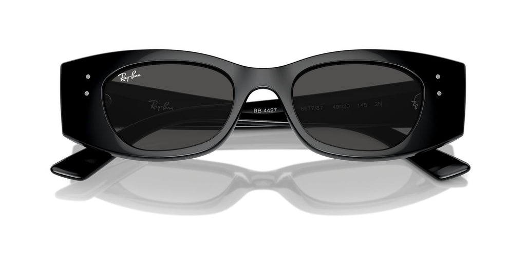 Ray-Ban | 0RB4427