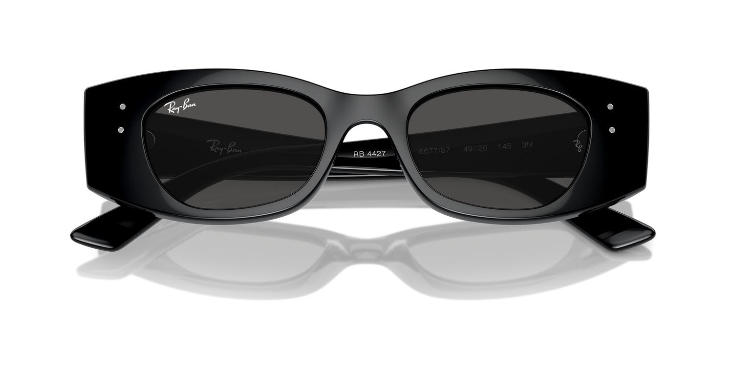 Ray-Ban | 0RB4427