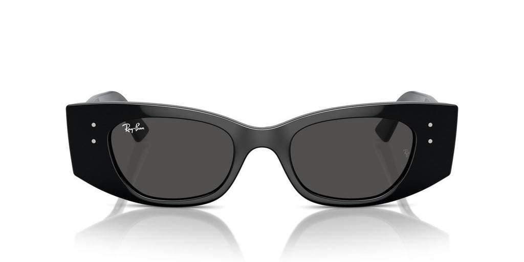 Ray-Ban | 0RB4427