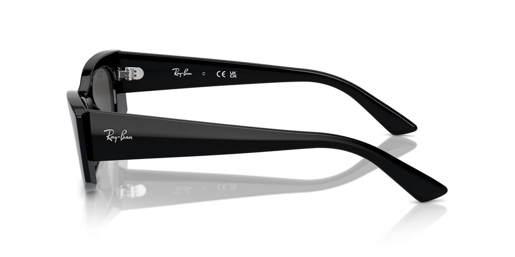Ray-Ban | 0RB4427