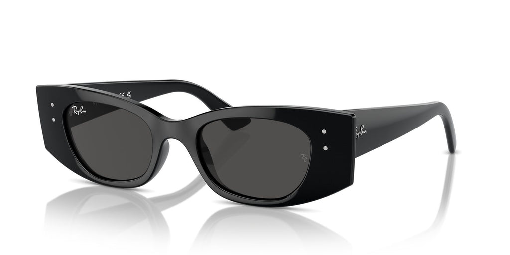Ray-Ban | 0RB4427