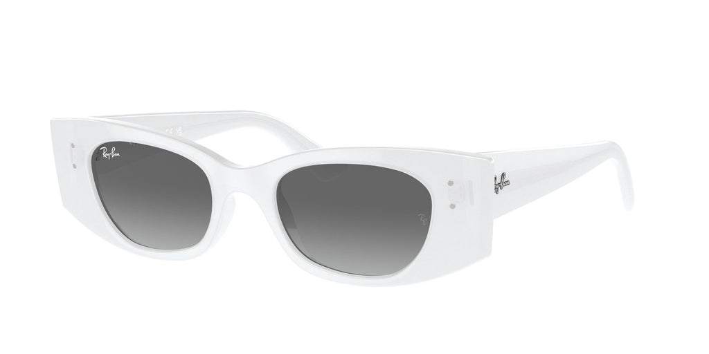 Ray-Ban | 0RB4427