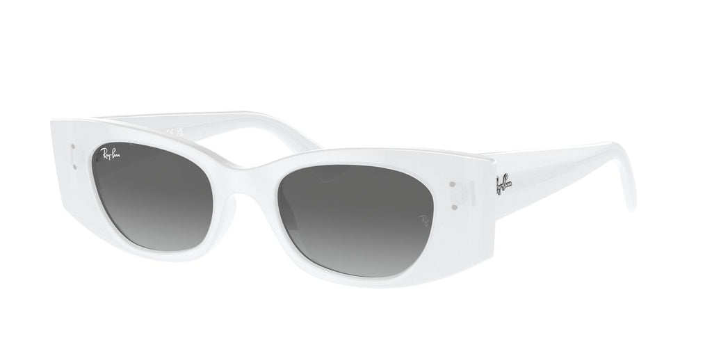 Ray-Ban | 0RB4427