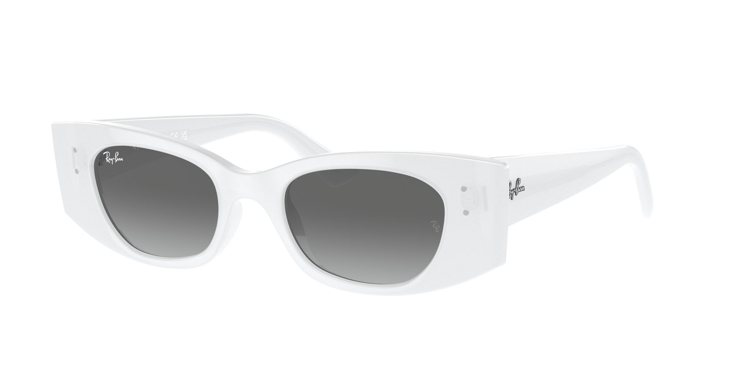 Ray-Ban | 0RB4427