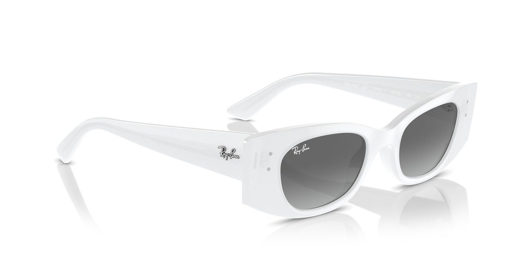 Ray-Ban | 0RB4427