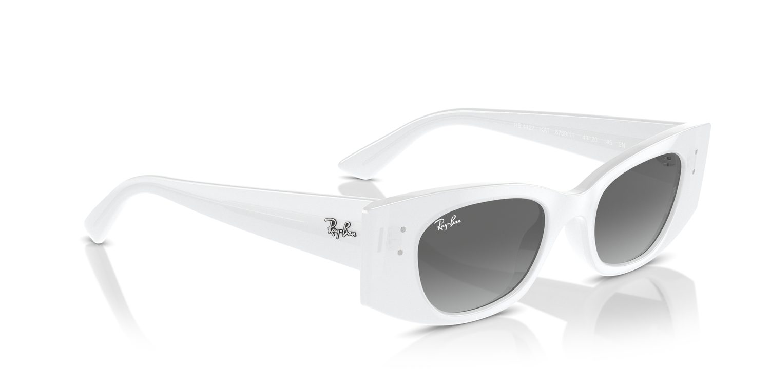 Ray-Ban | 0RB4427