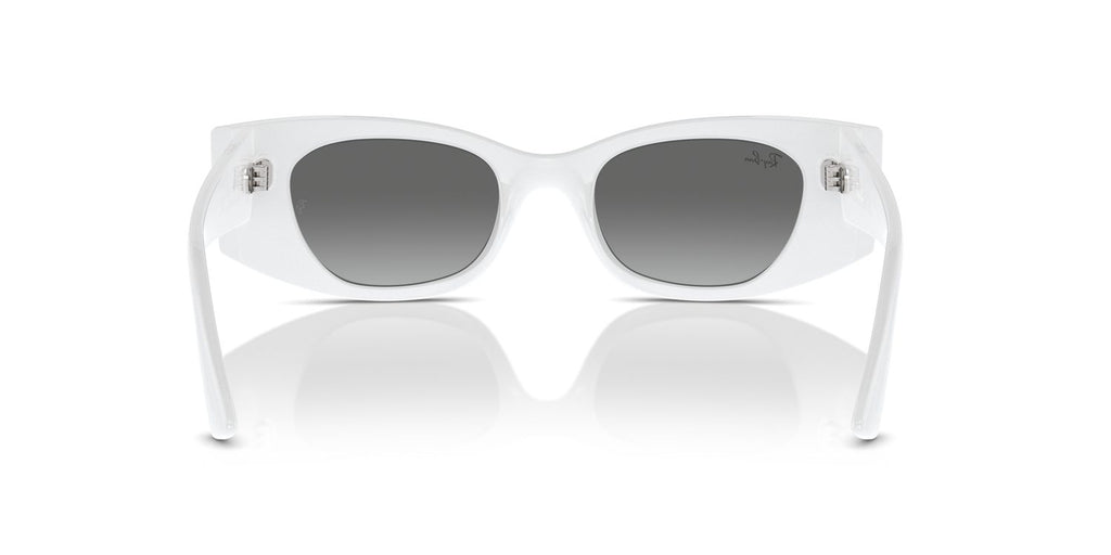 Ray-Ban | 0RB4427