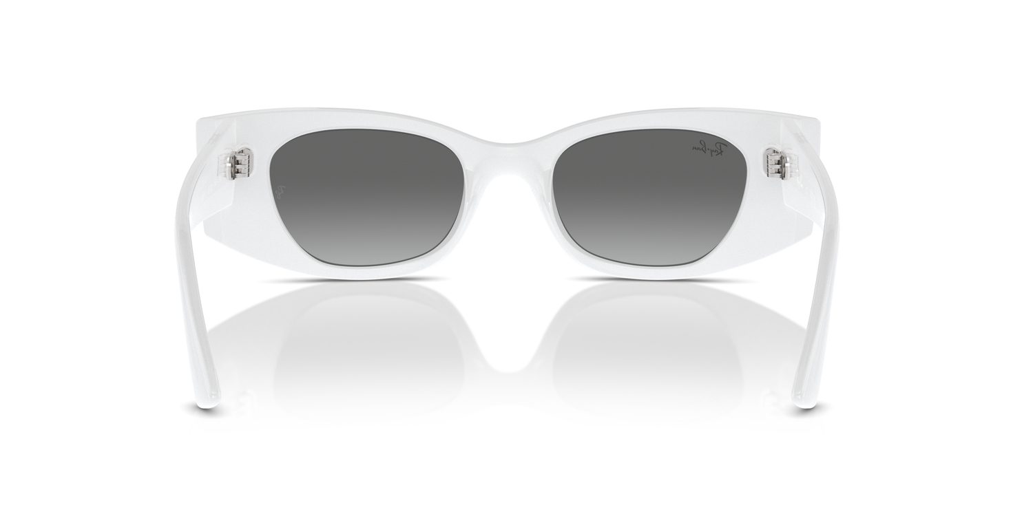Ray-Ban | 0RB4427