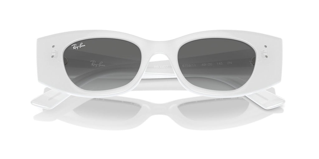 Ray-Ban | 0RB4427