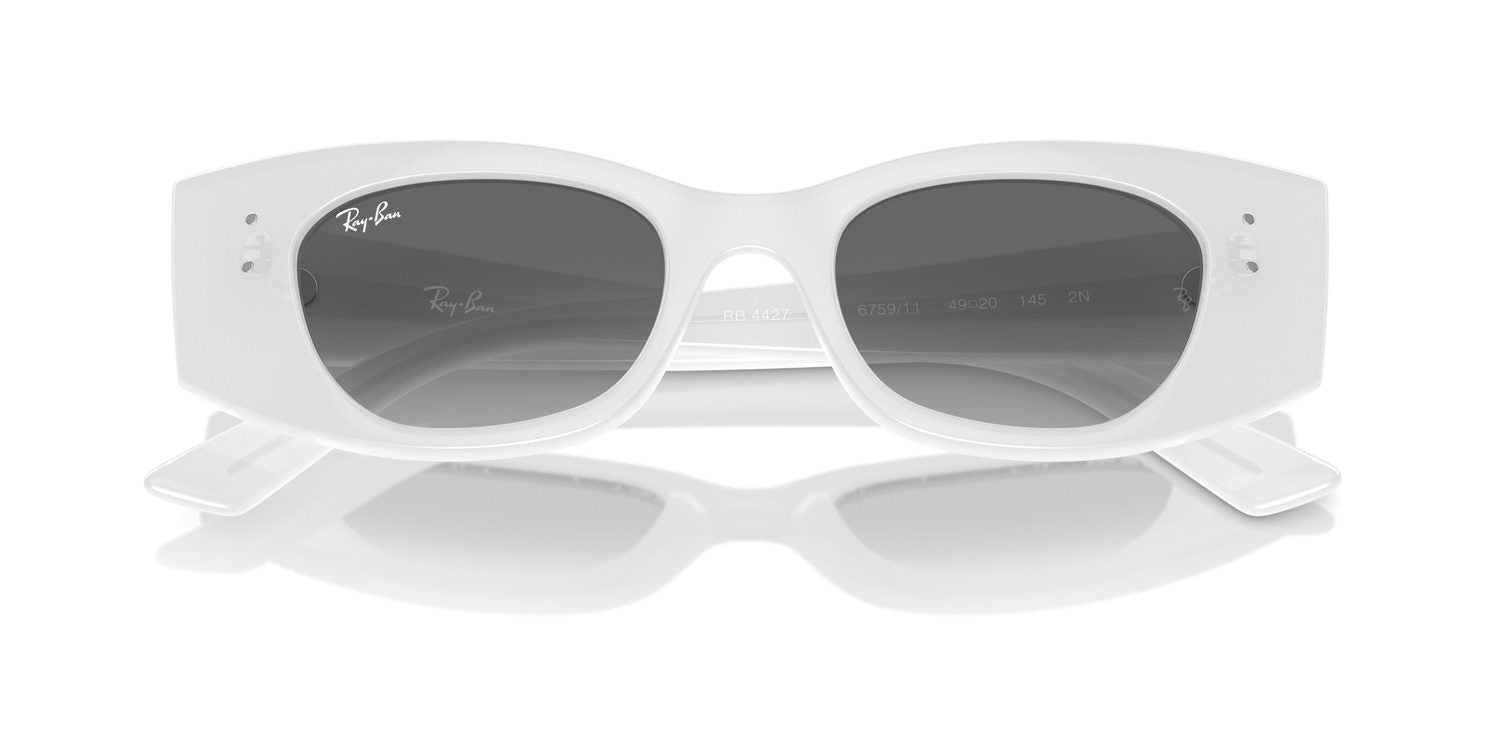 Ray-Ban | 0RB4427
