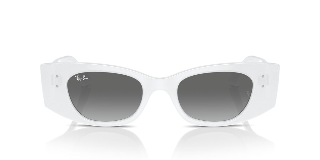 Ray-Ban | 0RB4427