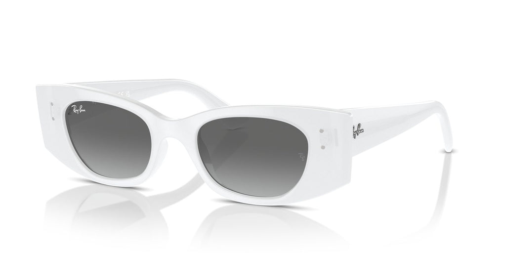 Ray-Ban | 0RB4427