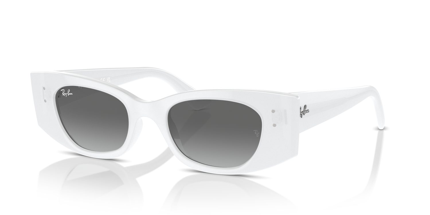 Ray-Ban | 0RB4427