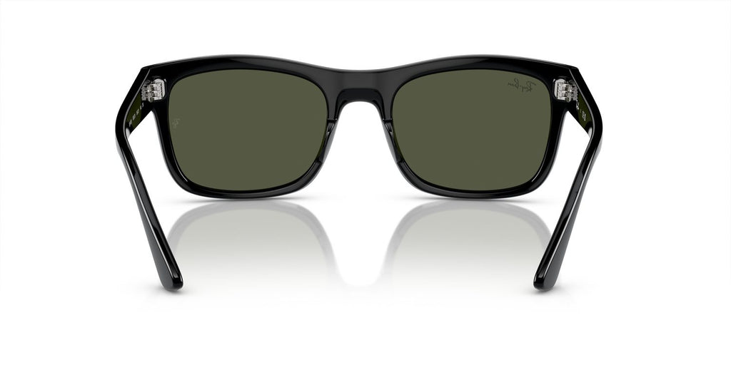 Ray-Ban | 0RB4428