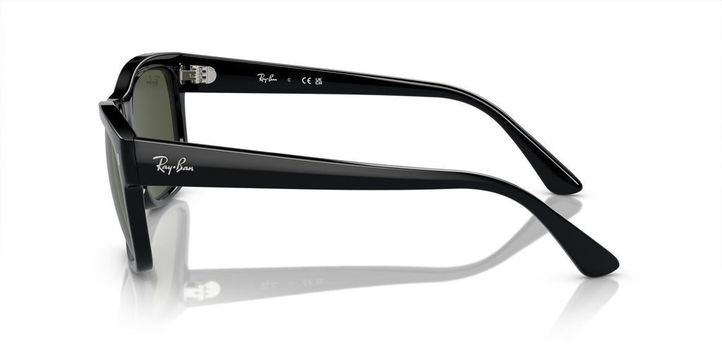 Ray-Ban | 0RB4428