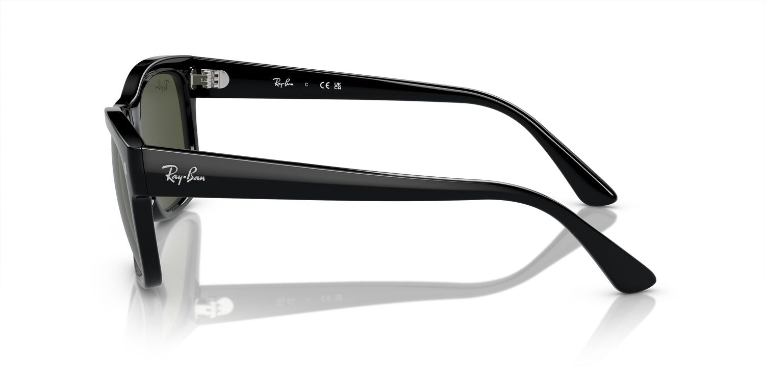 Ray-Ban | 0RB4428