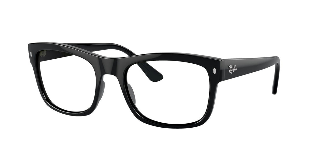 Ray-Ban | 0RB4428