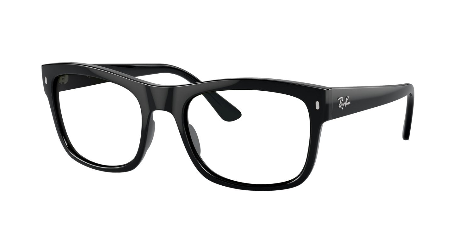 Ray-Ban | 0RB4428