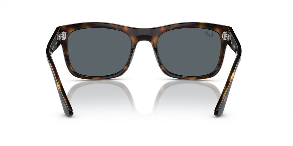 Ray-Ban | 0RB4428