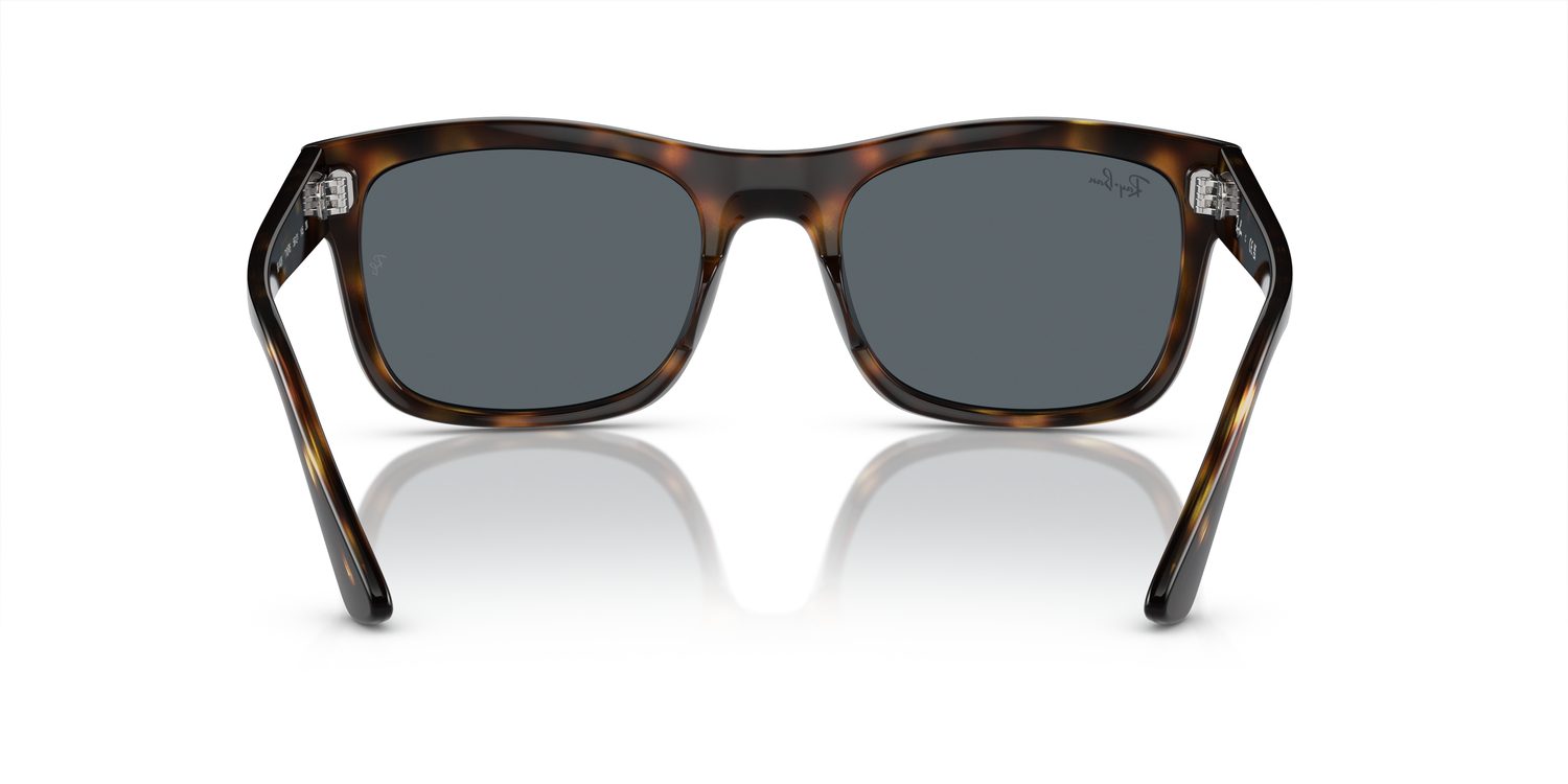 Ray-Ban | 0RB4428