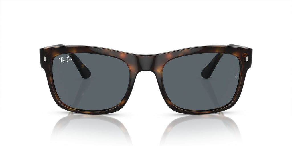 Ray-Ban | 0RB4428