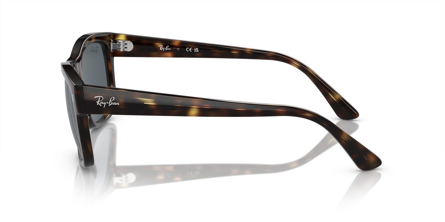 Ray-Ban | 0RB4428