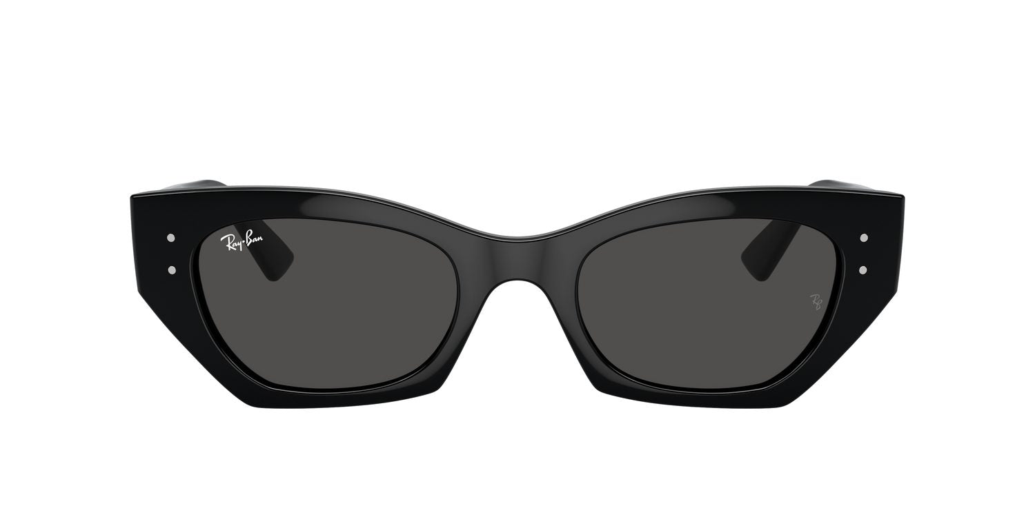 Ray-Ban | 0RB4430