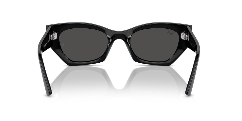 Ray-Ban | 0RB4430