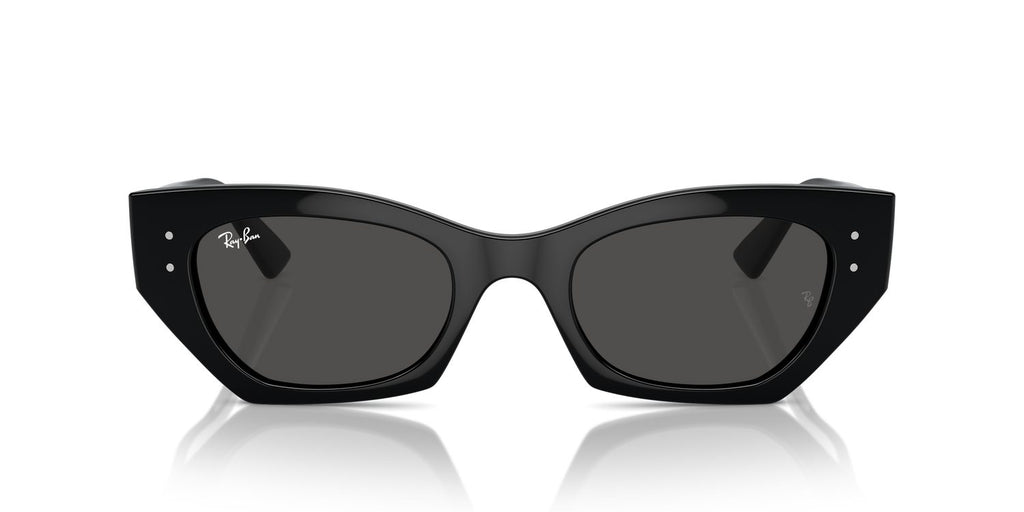 Ray-Ban | 0RB4430