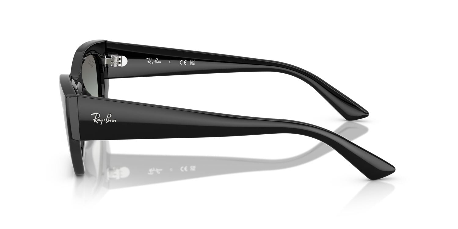 Ray-Ban | 0RB4430