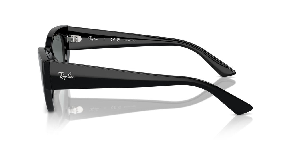 Ray-Ban | 0RB4430