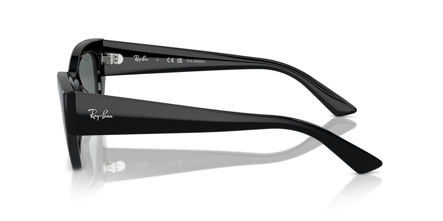 Ray-Ban | 0RB4430