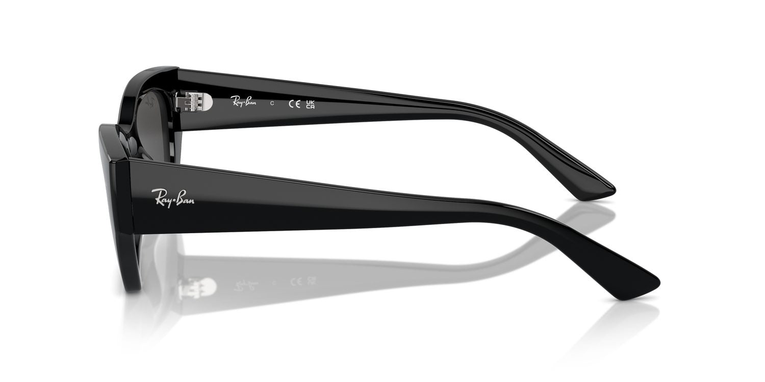 Ray-Ban | 0RB4430