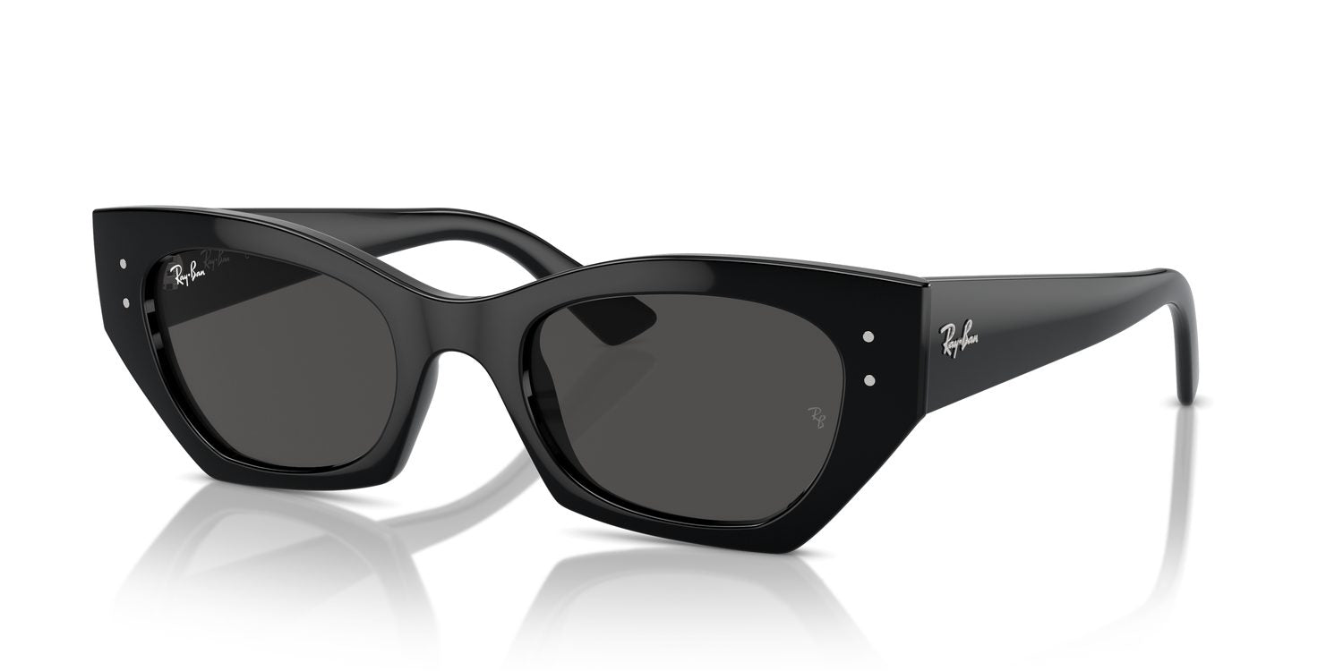 Ray-Ban | 0RB4430