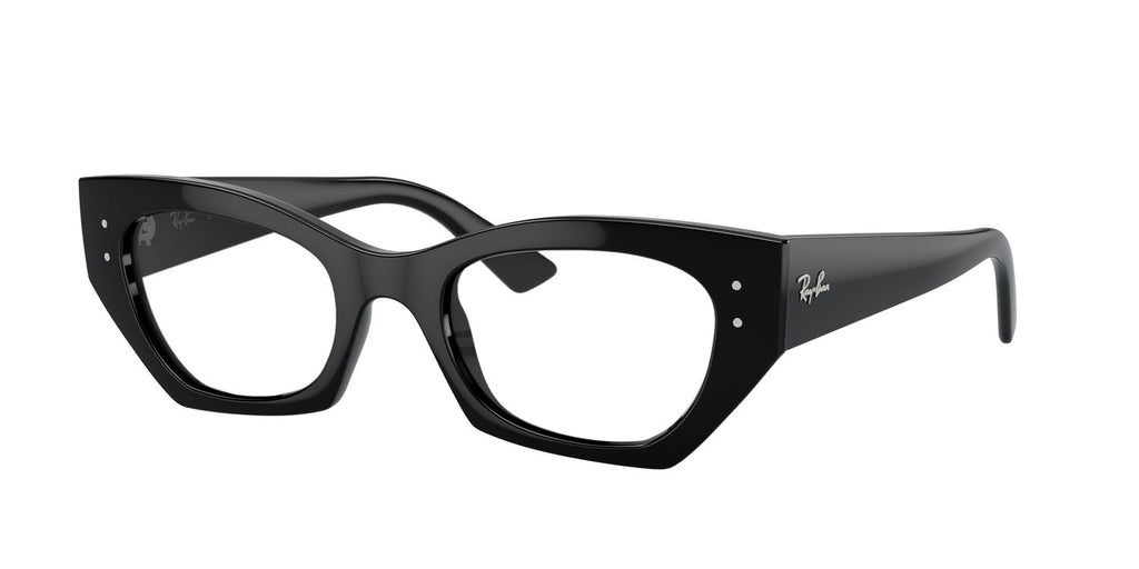 Ray-Ban | 0RB4430