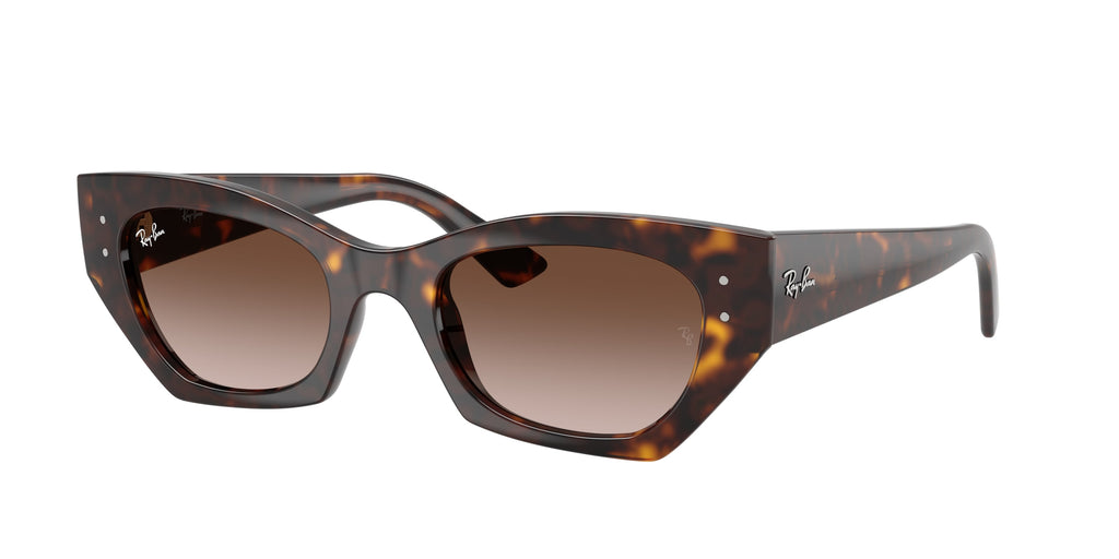 Ray-Ban | 0RB4430
