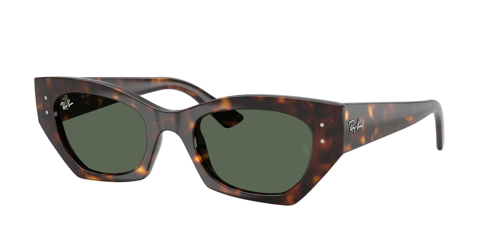 Ray-Ban | 0RB4430