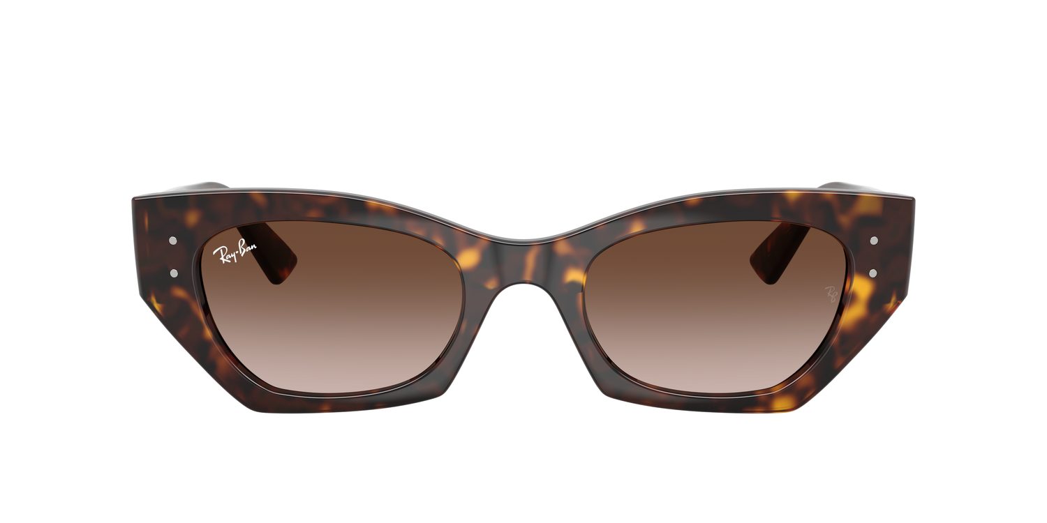 Ray-Ban | 0RB4430